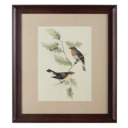 Agatiyo Framed Birds 2 Wall Art In Multi Coloured